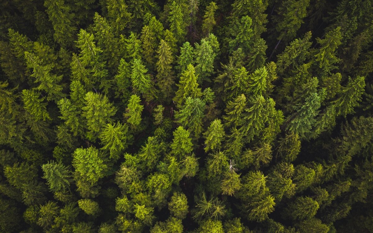 Parquet 100% français