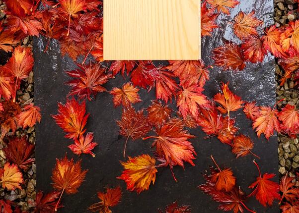 Le grand retour du parquet en frêne. 